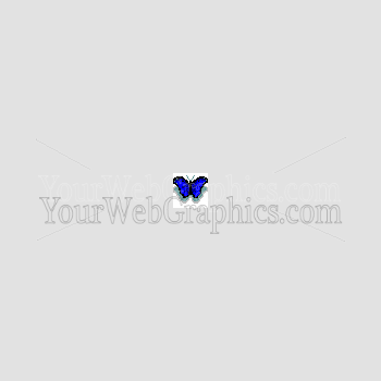 illustration - butterfly-png